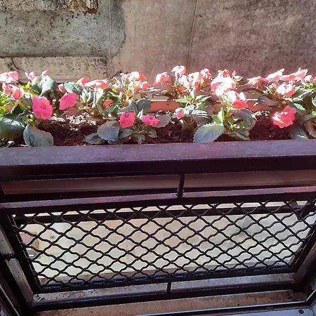 Viccinella House Capranica