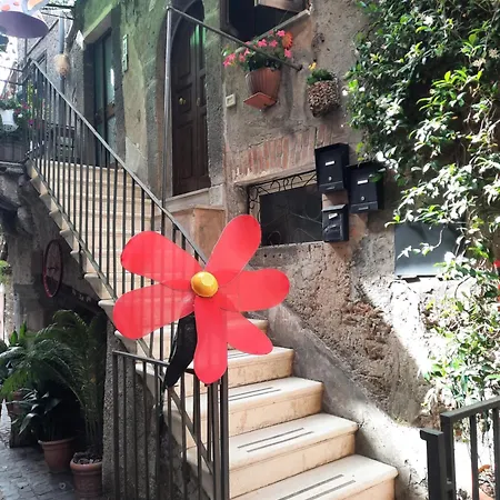 Viccinella House Capranica