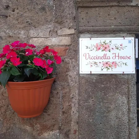 Apartment Viccinella House